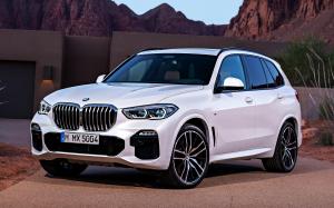 BMW X5 xDrive30d M Sport 2018 года (WW)